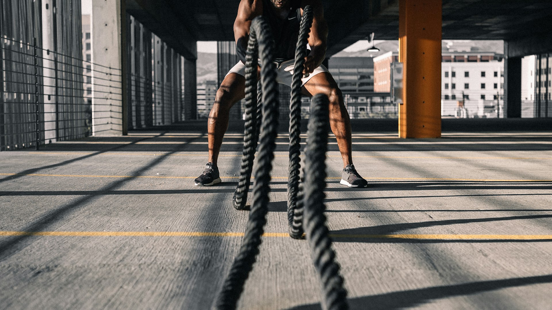 Professional gym training environment